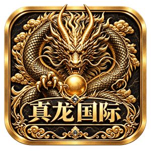 真龙国际
